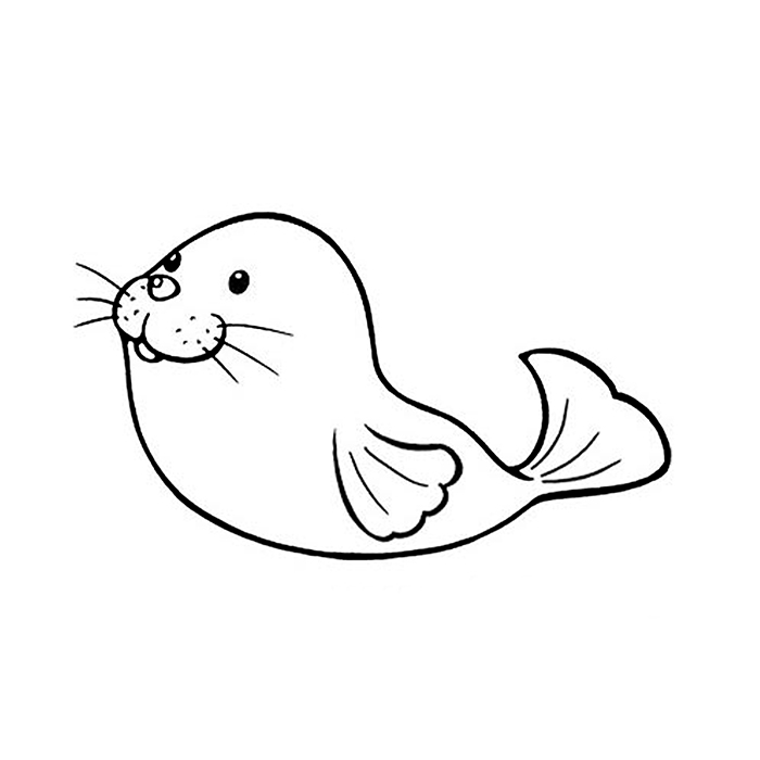 可爱的海狮简笔画