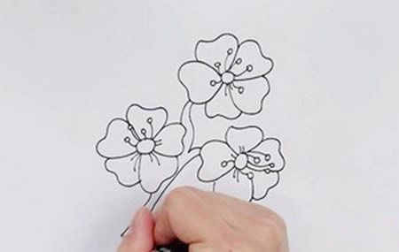 樱花简笔画画法 樱花是怎么画的